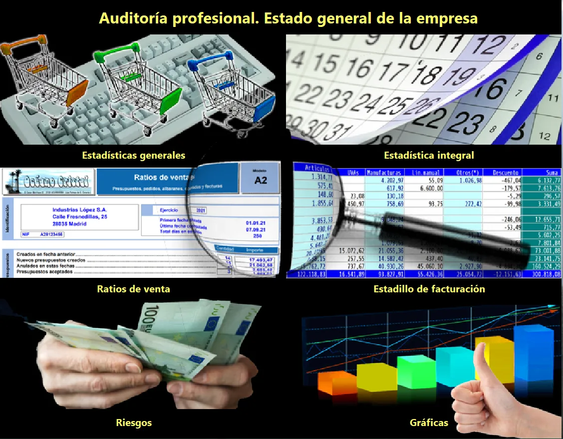 Apartado de auditoría: estadísticas generales, estadística integral, ratios de venta, estadillo de facturación y riesgos