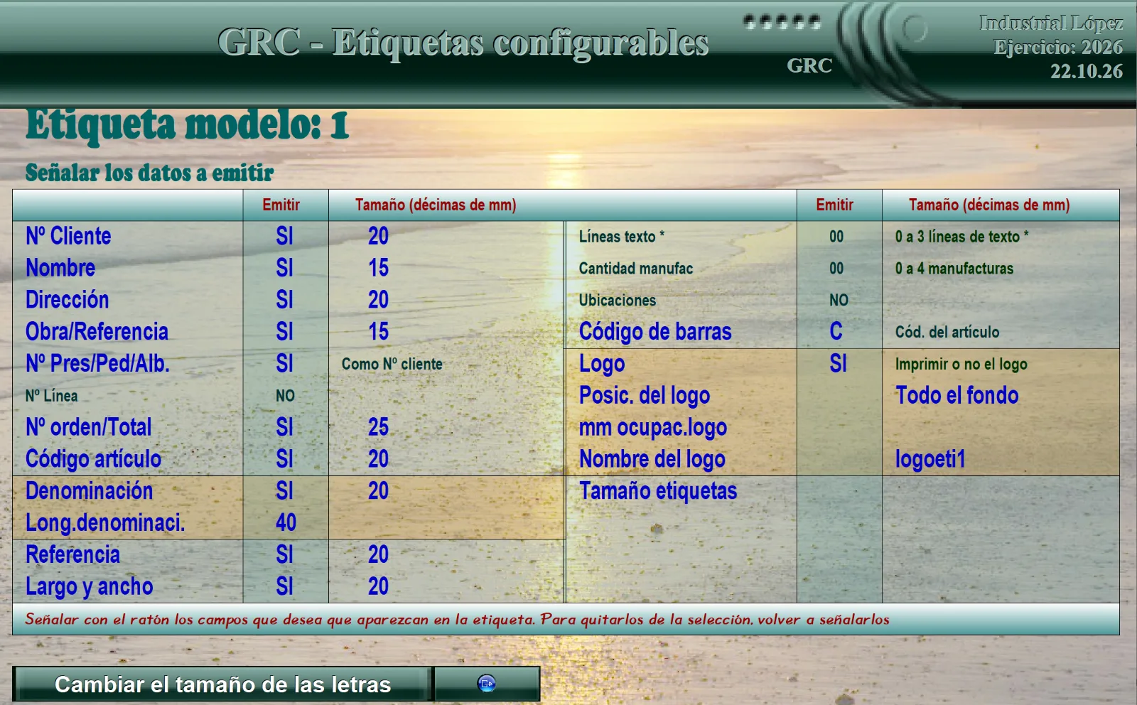 Configuración de una etiqueta: los datos que lleva, el tamaño de cada uno y su posición